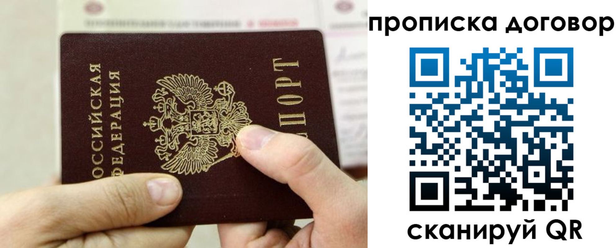 прописка регистрация в Светлогорске